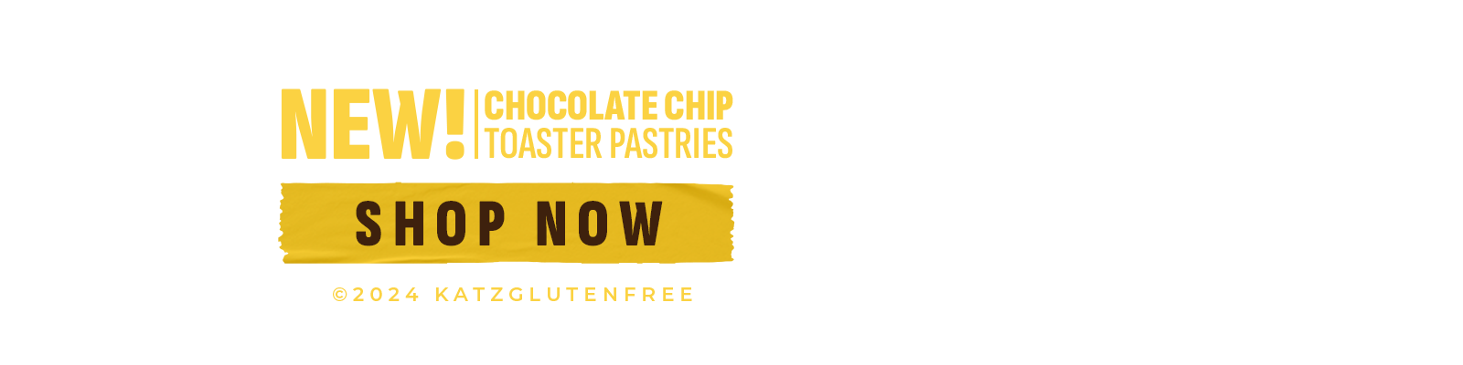 Introducing Chocolate Chip Toaster Pastries!